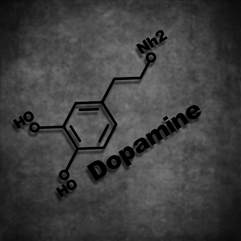 1PC Dopamine Molecule Chemical - đánh giá và giá Home Decor Dopamine