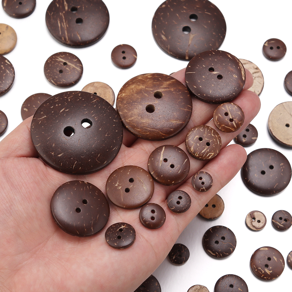 10-100Pcs Natural Coconut Shel - đánh giá và giá Home Decor Manufacturers